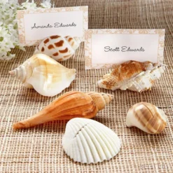 Seashell Place Card Holders