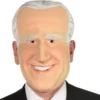 Adult Former Vice President Mask