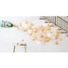 Air-Filled Champagne Poppin' New Year's Balloon Garland Kit