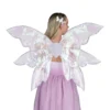 AMSCAN Adult Light-Up Iridescent Fairy Wings