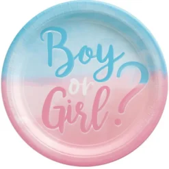 Gender Reveal Tableware Kit For 32 Guests -Party Supply Store 943873 02