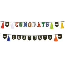 Multicolor Day To Celebrate Graduation Party Kit For 50 Guests -Party Supply Store N968399 5020 20Standard 09