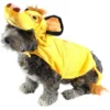 Simba Dog Costume